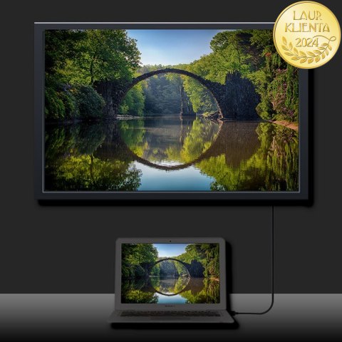 Qoltec DisplayPort v1.4 męski | DisplayPort v1.4 męski | 8K | 0.5m