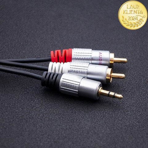 Qoltec Kabel 2x RCA / Mini Jack 3.5mm | 3m | Czarny