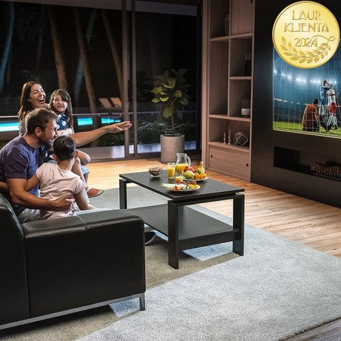 Qoltec Antena telewizyjna DVB-T2