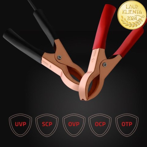 Qoltec Inteligentna profesjonalna ładowarka Monolith do akumulatorów LiFePO4 AGM GEL SLA | 30A | 12V