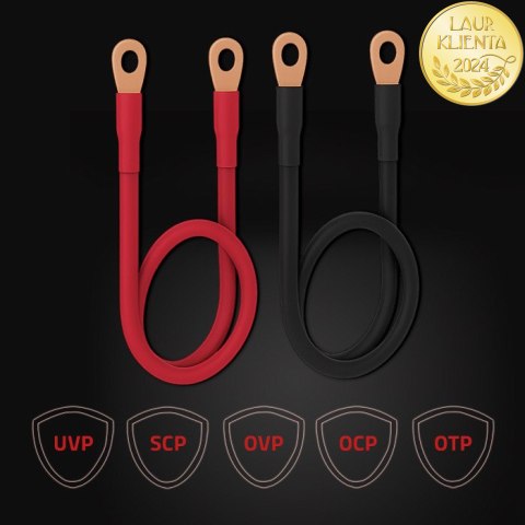 Qoltec Inteligentna profesjonalna ładowarka Monolith do akumulatorów LiFePO4 AGM GEL SLA | 60A | 12V | Szybkie ładowanie