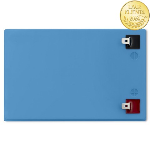 Qoltec Akumulator LiFePO4 Litowo-Żelazowo-Fosforanowy | 12.8V | 10Ah | 128Wh | BMS