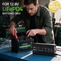 Qoltec Specjalistyczna ładowarka do akumulatora LiFePO4 12V | 30A | PF 0.9 | LED | Inteligentne ładowanie